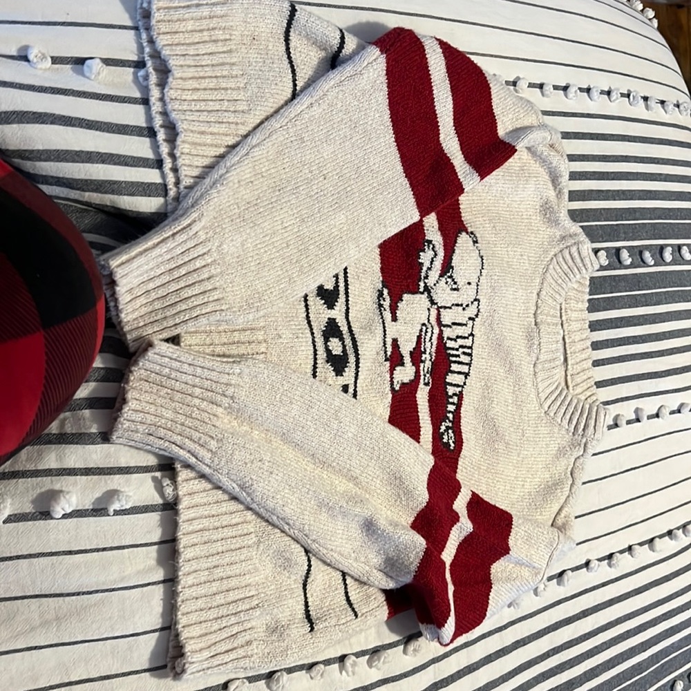 American eagle X Peanuts sweater